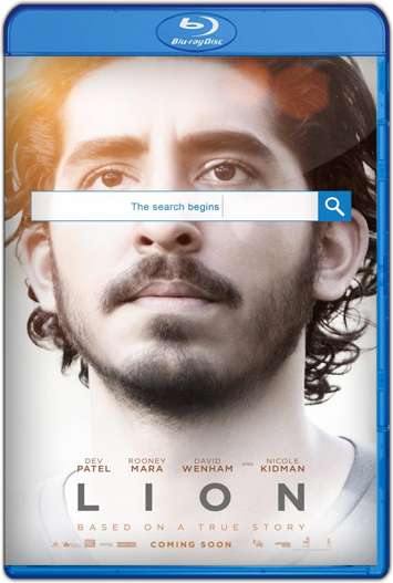 Un Camino a Casa (2016) HD 720p Latino 
