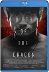 El Nacimiento del Dragón (2016) HD 720p Latino