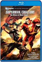 Superman / Shazam!: El Regreso de Black Adam (2010) HD 720p Español