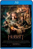 The Hobbit: The Desolation of Smaug (2013) HD 720p Subtitulados