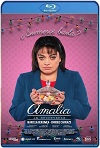 Amalia la secretaria (2017) HD 720p Latino 