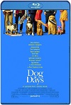 Dog Days (2018) HD 720p Latino Y Subtitulada