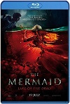 La sirena: la leyenda jamás contada (2018) HD 720p Latino/Subtitulada