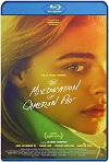 La mala educación de Cameron Post (2018) HD 720p Latino