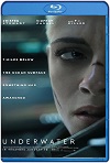 Amenaza en lo profundo (2020) HD 720p Latino