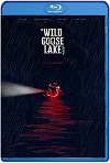 The Wild Goose Lake  (2019) HD 720p