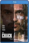 Un Crack (2020) HD 720p Latino