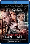 Crímenes imposibles (2019) HD 1080p Latino