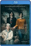 Relic (2020) HD 720p Latino