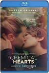 Chemical Hearts (2020) HD 1080p Latino