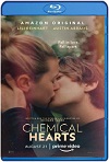 Chemical Hearts (2020) HD 720p Latino 