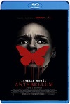 Antebellum / Elegida (2020) HD 1080p