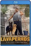 Lavaperros (2020) HD 720p Latino