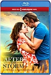 Después de la Tormenta (2019) HD 1080p Latino