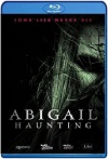 Abigail inquietante (2020) HD 1080p Latino