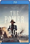 El poder del perro (2021) HD 1080p Latino