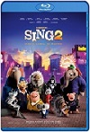 Sing 2: ¡Ven y canta de nuevo! (2021) HD 720p Latino 
