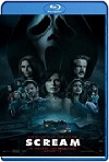 Scream 5 (2022) HD 720p Latino