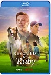 El rescate de Ruby (2022) HD 720p Latino