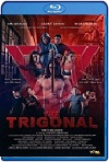 The Trigonal: Fight for Justice (2018) HD 1080p Latino