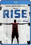 Rise (2022) HD 1080p  Latino