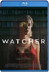 Watcher (2022) HD 1080p Latino 5.1 Dual