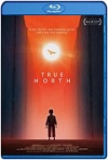 El verdadero Norte (2020) HD 720p Latino