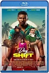 Turno de día (2022) HD 720p Latino