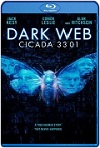 Usuario: Cicada 3301 (2021) HD 1080p Latino