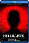 Hellraiser (2022) HD 1080p Latino 5.1 Dual