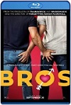 Bros: Más Que Amigos (2022) HD 1080p Latino