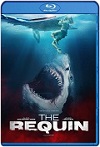 The Requin (2022) HD 720p Latino