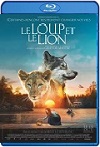 El lobo y el león (2021) HD 720p Latino 5.1 Dual