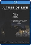 Tree of Life: Tiroteo en la Sinagoga de Pittsburgh (2022) HD 1080p Latino Dual
