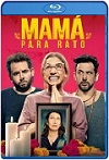 Mamá para Rato (2022) HD 720p Latino 5.1