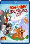 Tom y Jerry en la tierra de nieve (2022) HD 720p Latino 5.1 Dual 