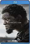 Emancipación (2022) HD 1080p Latino 5.1 Dual