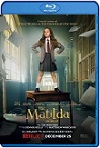 Matilda, de Roald Dahl: El musical (2022) HD 1080p Latino 5.1 Dual