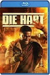 Hart: Duro de Entrenar (2023) HD 1080p Latino 5.1 Dual