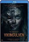 Lobo Vikingo (2022) HD 1080p Latino 5.1 Dual