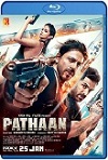 Pathaan (2023) HD 1080p