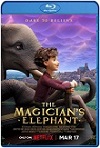 La elefanta del mago (2023) HD 1080p Latino 5.1 Dual