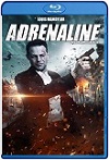 Adrenaline (2022) HD 720p Latino