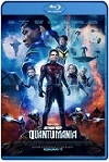Ant-Man and the Wasp: Quantumania (2023) HD 720p Latino