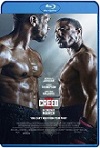 Creed 3 (2023) HD 1080p Latino 5.1 Dual