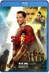 ¡Shazam! 2 La furia de los dioses (2023) HD 1080p Latino 5.1 Dual
