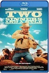 Two Sinners and a Mule (2023) HD 1080p Latino 5.1