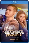 Maravilloso desastre (2023) HD 1080p Latino