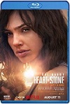 Agente Stone (2023) HD 720p Latino 5.1 Dual 