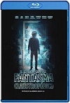 El extraño caso del fantasma claustrofóbico (2023) HD 1080p Latino 5.1 Dual
